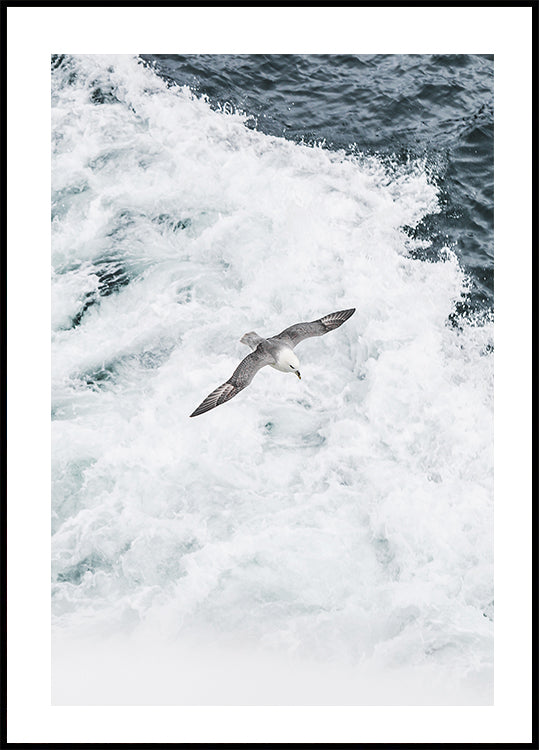 Grey Seagull Flying Over Waves Plakat - Posterbox.dk