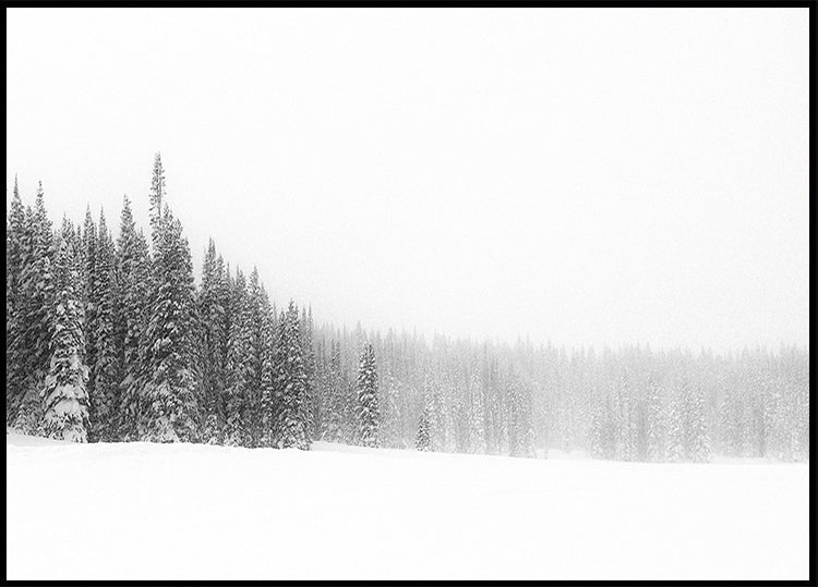 Poster „Wald vor lauter Bäumen“.