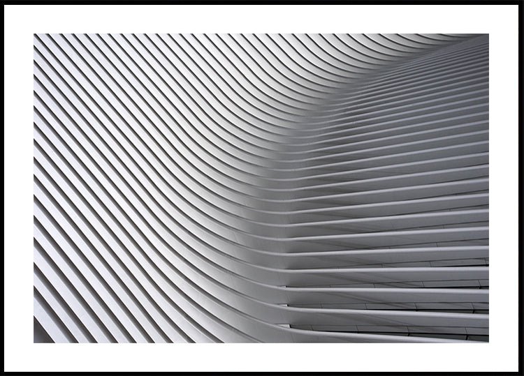 Calatrava Curves #2 Poster