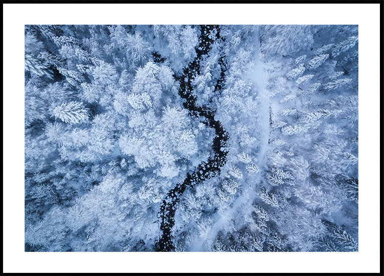 Ein eiskaltes Schönheitsplakat