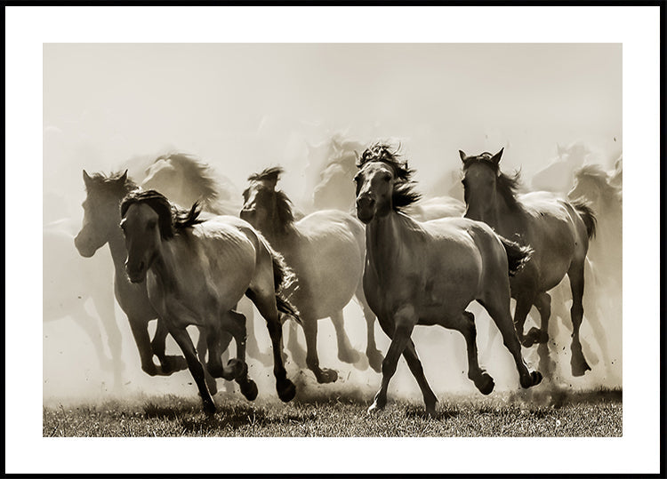 Pferd