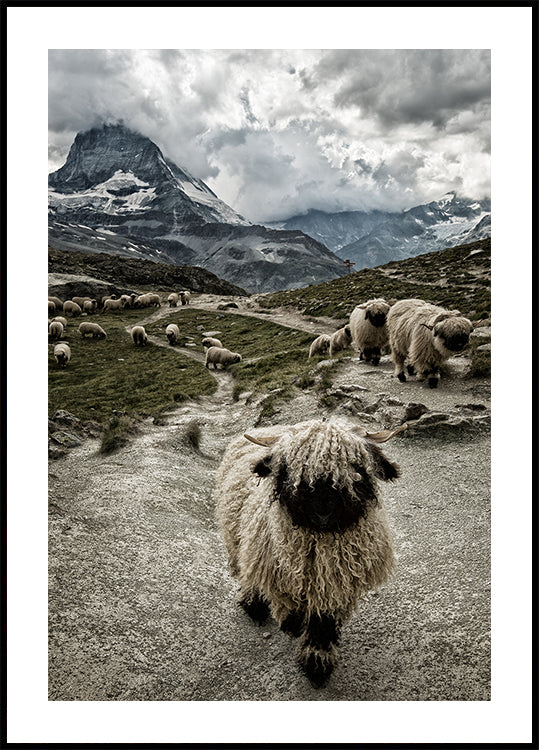 Aus meinem Weg Poster