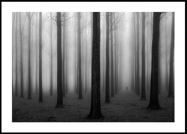Im Nebel