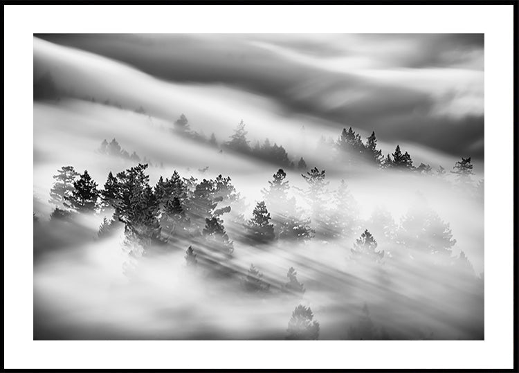 Whispers Through the Mist Plakat