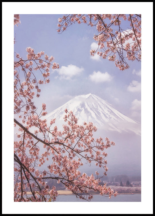 Mt.Fuji in den Kirschblüten Poster