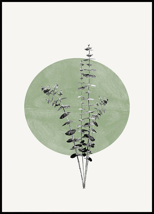 Poster „Echo der Natur“.