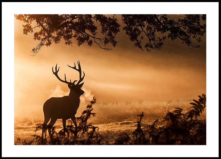 Rotwild-Hirsch im Nebel-Plakat