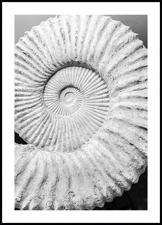 Alte Spiralträume