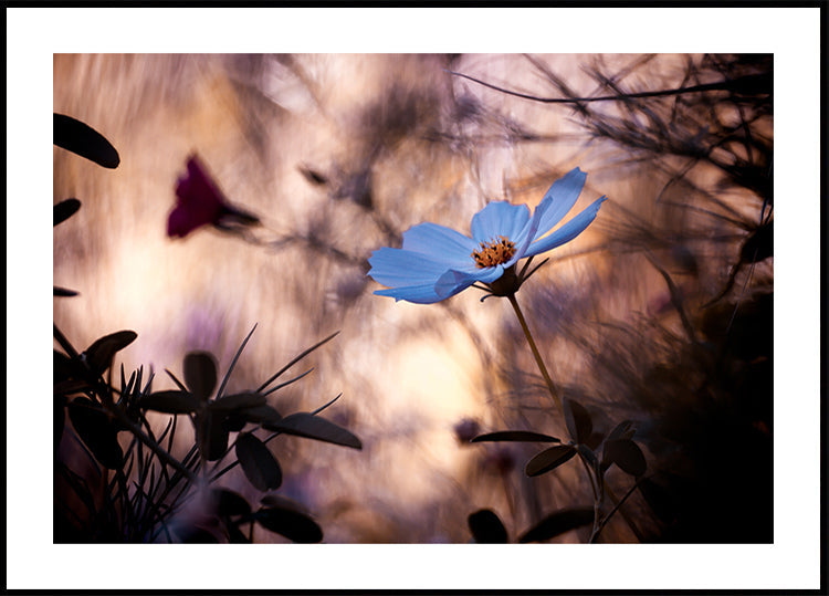 Die Gleichgültigkeit