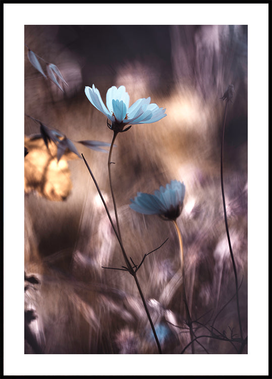 Lueur d'Automne