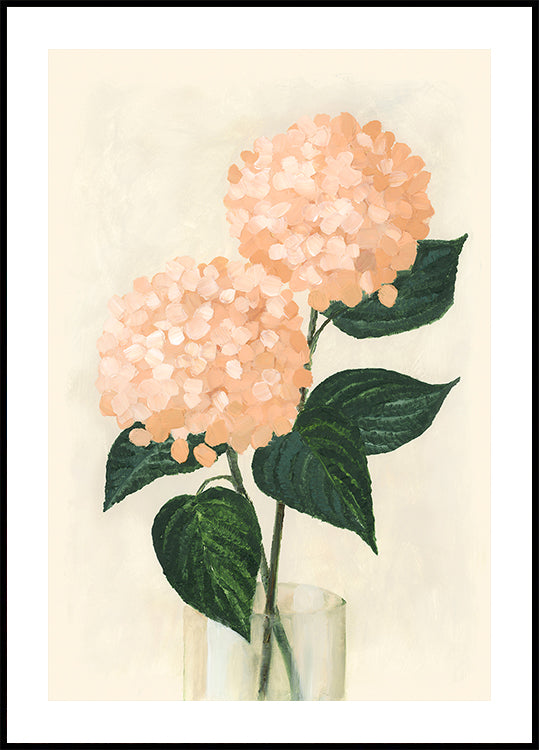 Korallenhortensien in einer Vase