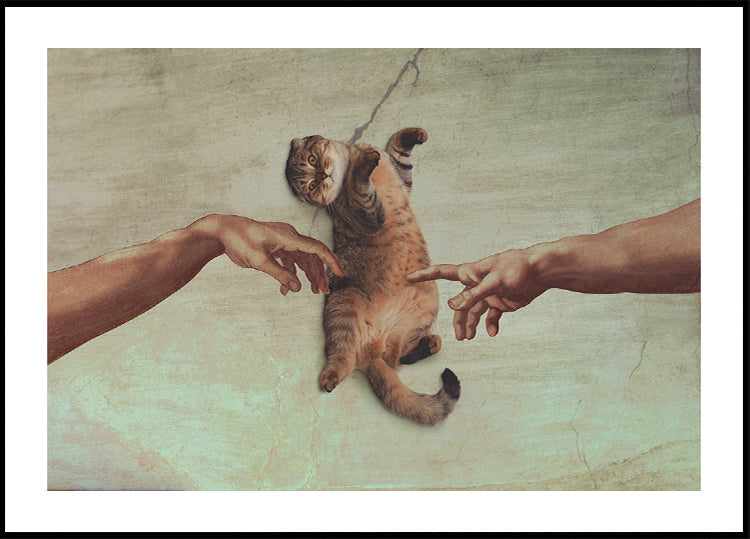 Berührung der Katze