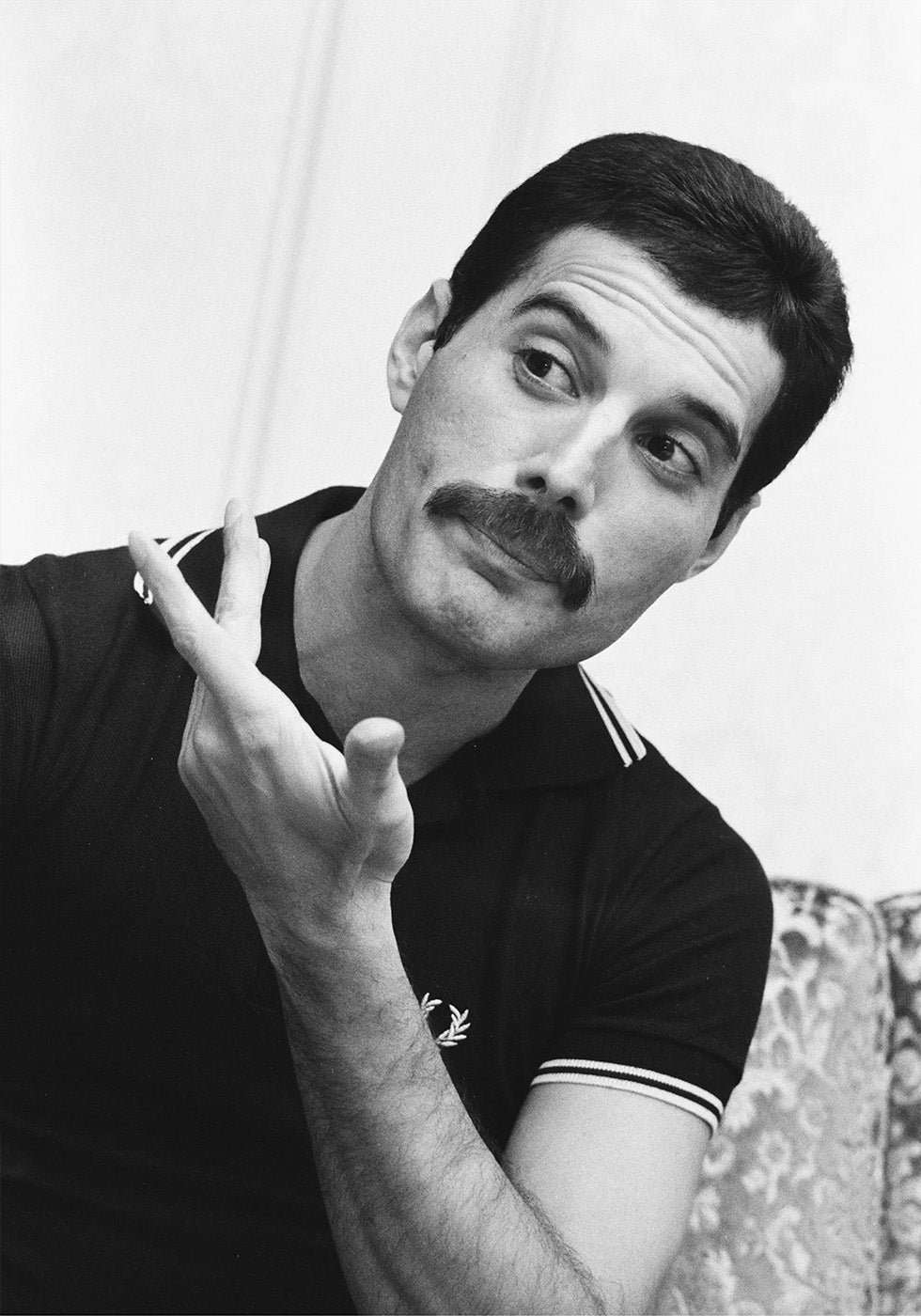 Freddie Mercury Plakat - Posterbox.dk