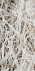 Grass Plakat - Posterbox.dk