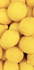 Lemons Plakat - Posterbox.dk