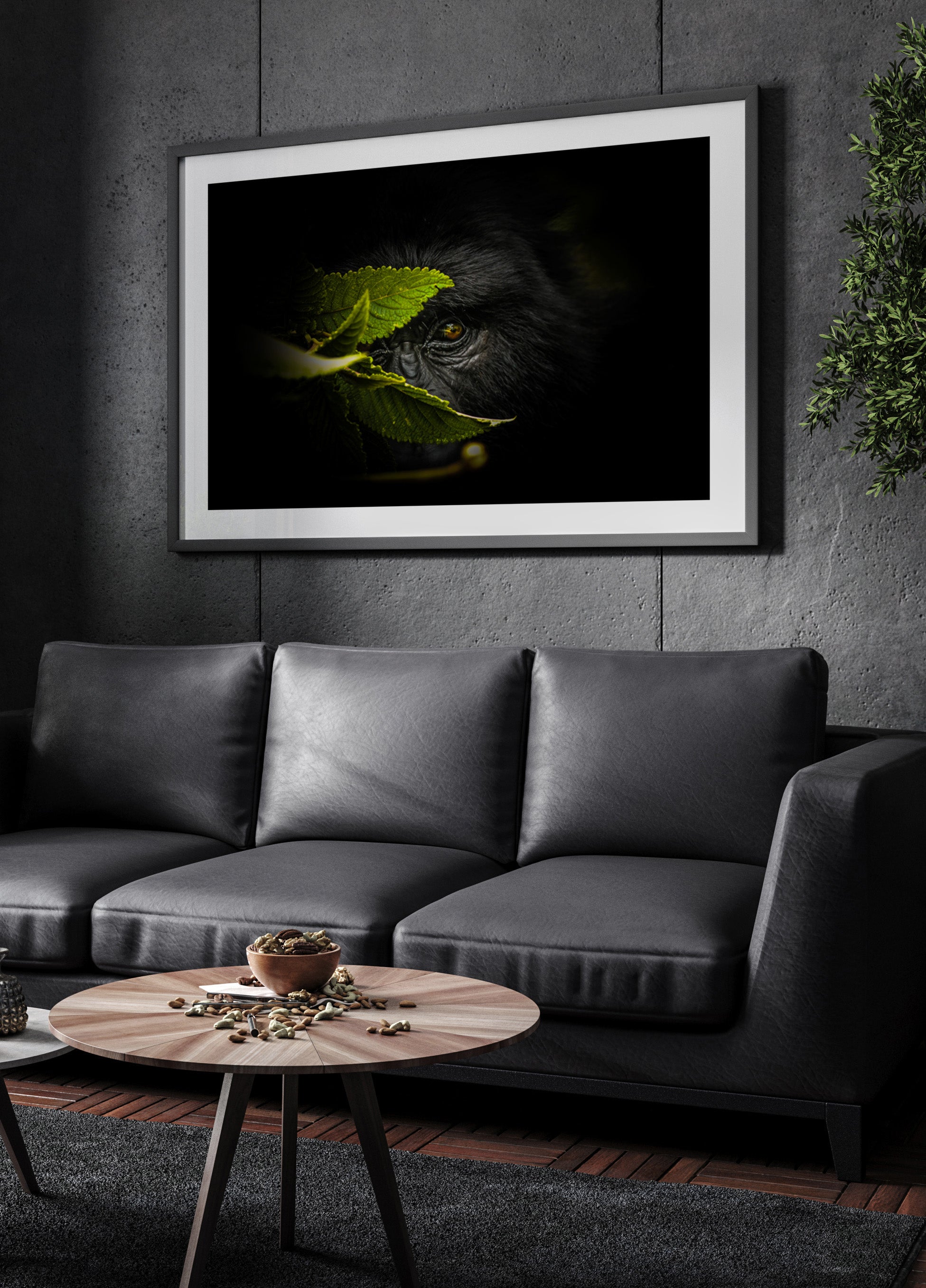 Geheimnisvoller Gorilla-Blick