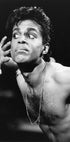 Prince Live 1986 Plakat - Posterbox.dk