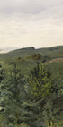 Spruce Saplings in Sandy Soil Study By Werner Holmberg Plakat - Posterbox.dk