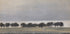Study for Solregn Gentofte Sø Plakat - Posterbox.dk