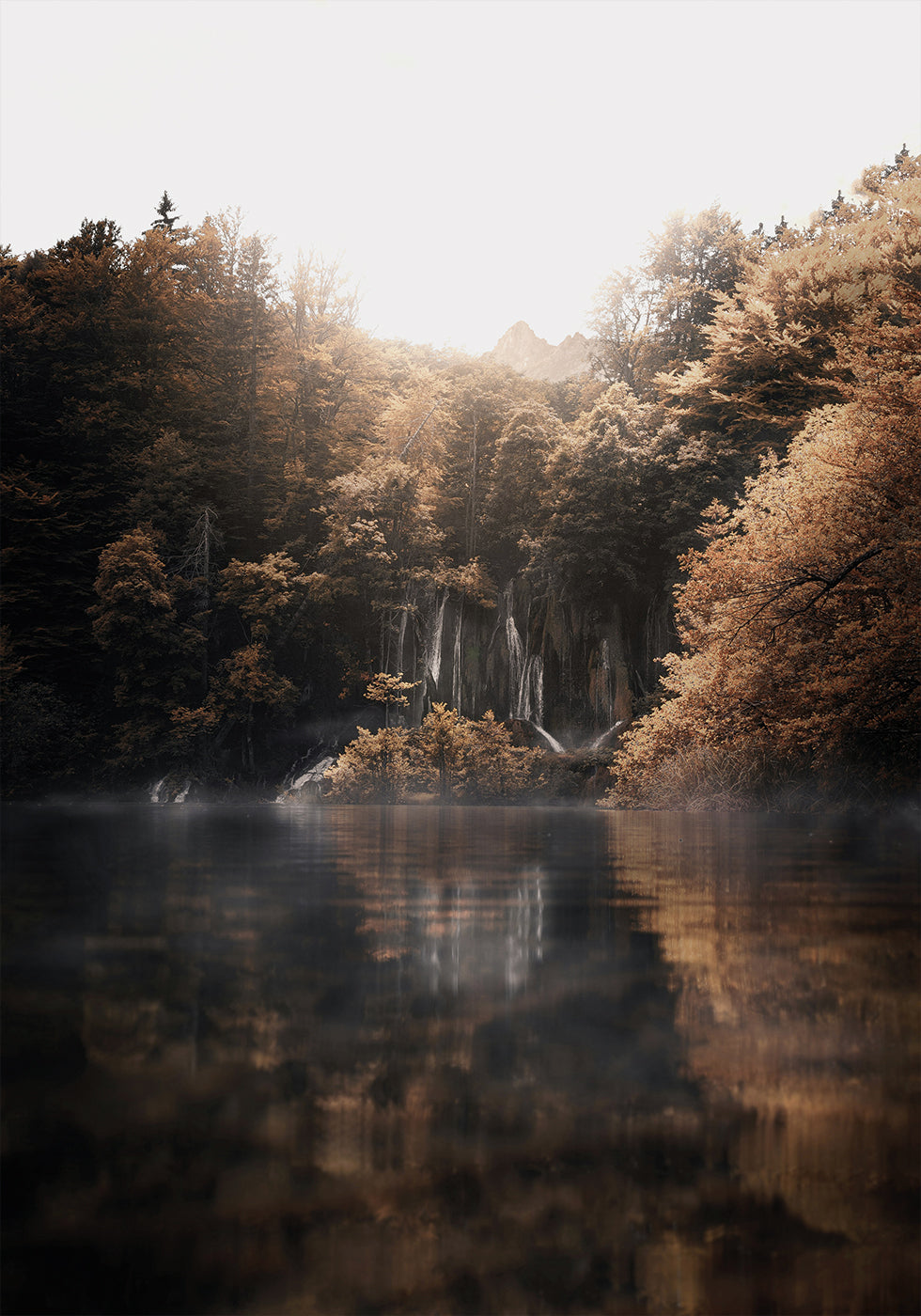 Sunrise in the Misty Forest with Reflections Plakat - Posterbox.dk