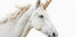 Unicorn Plakat - Posterbox.dk