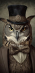 Owl Portrait (NEW) - Posterbox