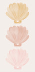Pastel Seashells (NEW) - Posterbox