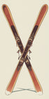 Wooden Skis Plakat - Posterbox