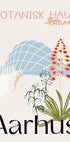 Aarhus Botanical Garden, Denmark (NEW) - Posterbox