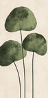 Green Leaves with Delicate Veins Plakat - Posterbox