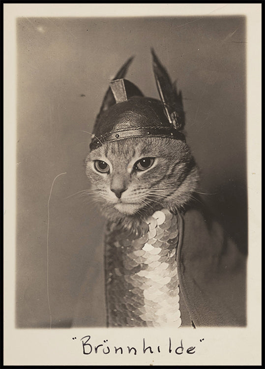Brunnhilde Cat Portrait Poster - Posterbox