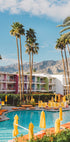 Palm Springs Saguaro Plakat - Posterbox