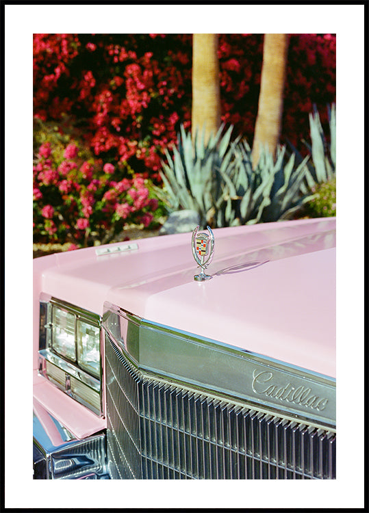 Palm Springs Ride III (NEW) - Posterbox