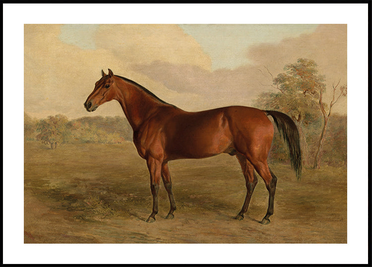 Edward Troye-Kentucky Woodpecker Poster - Posterbox