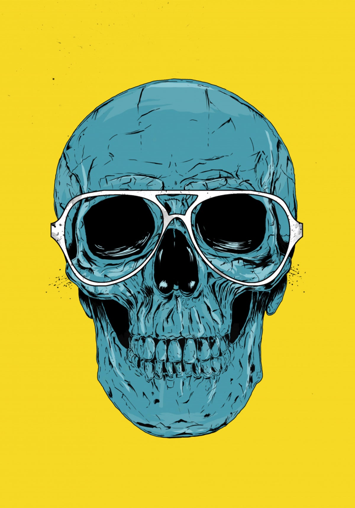 Coole Totenkopf-Flieger