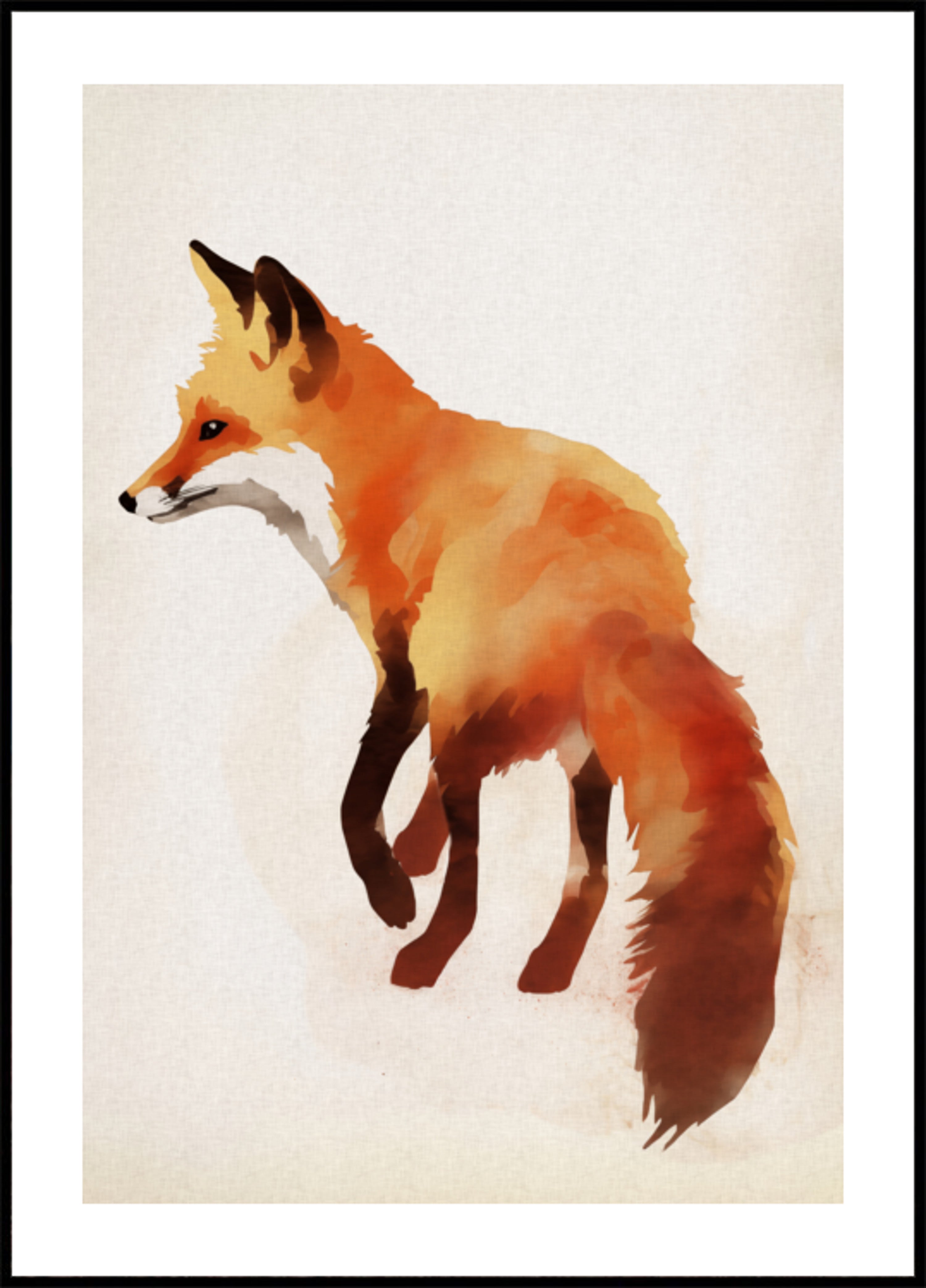 Rotfuchs-Illustration