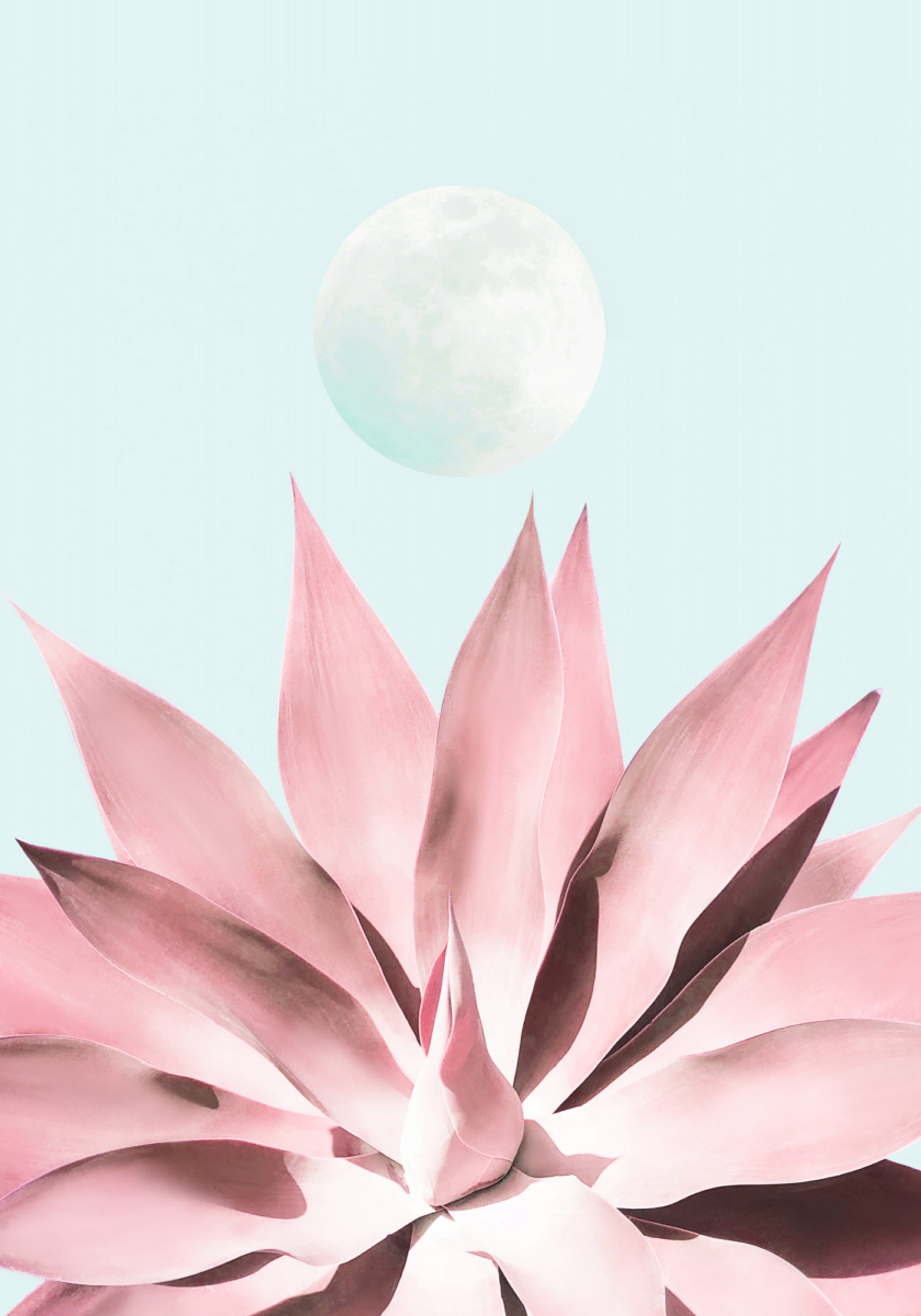 Rosa saftiger Mond