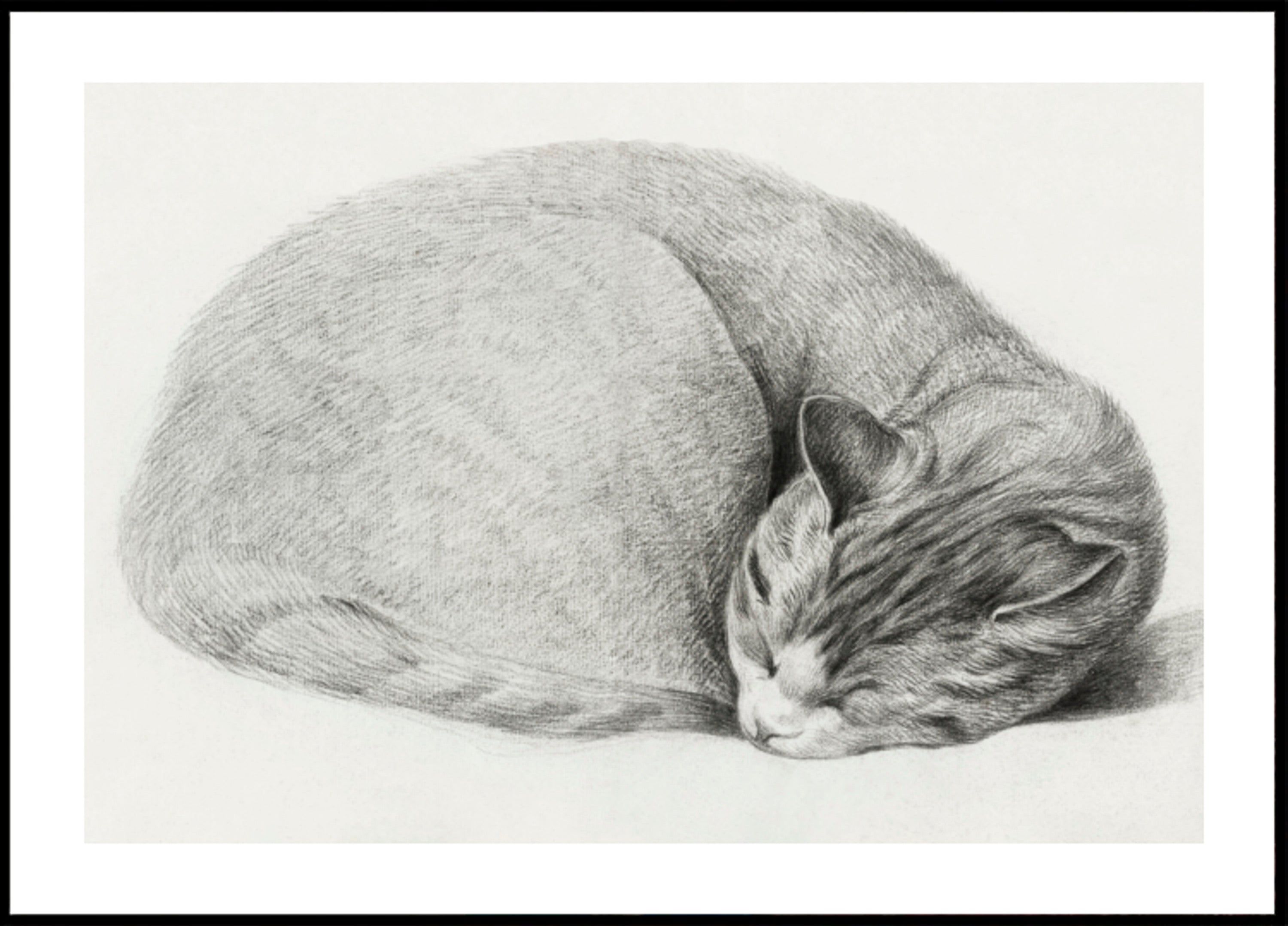 Zusammengerollte liegende, schlafende Katze von Jean Bernard (1775 1883)