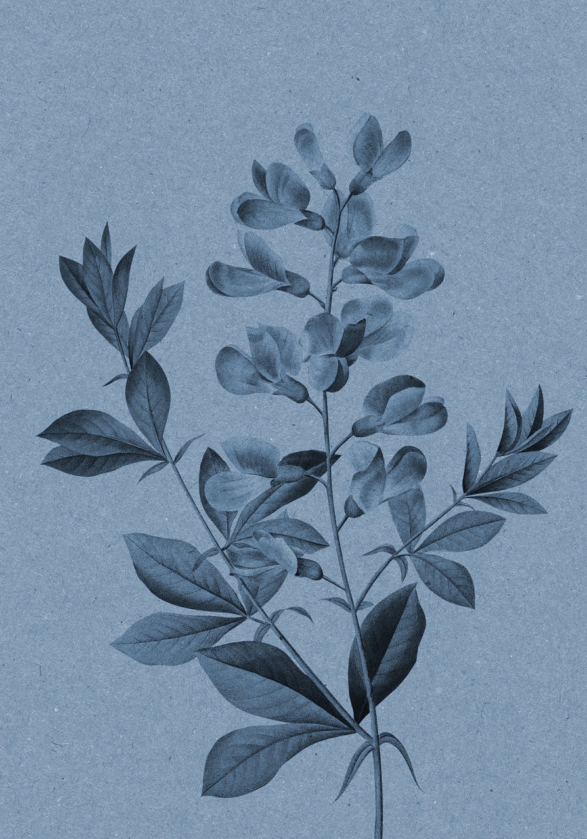 Elegante blaue Botanik