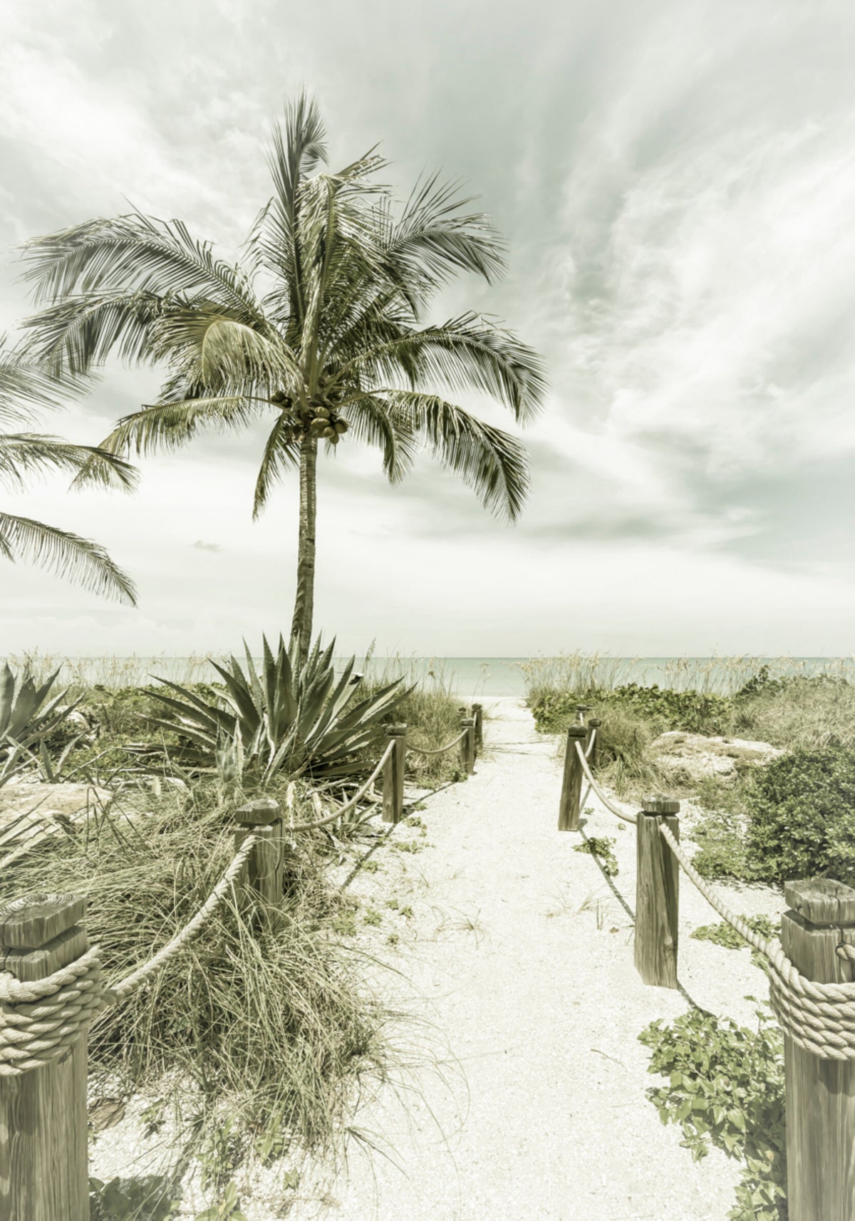Tropischer Strandweg