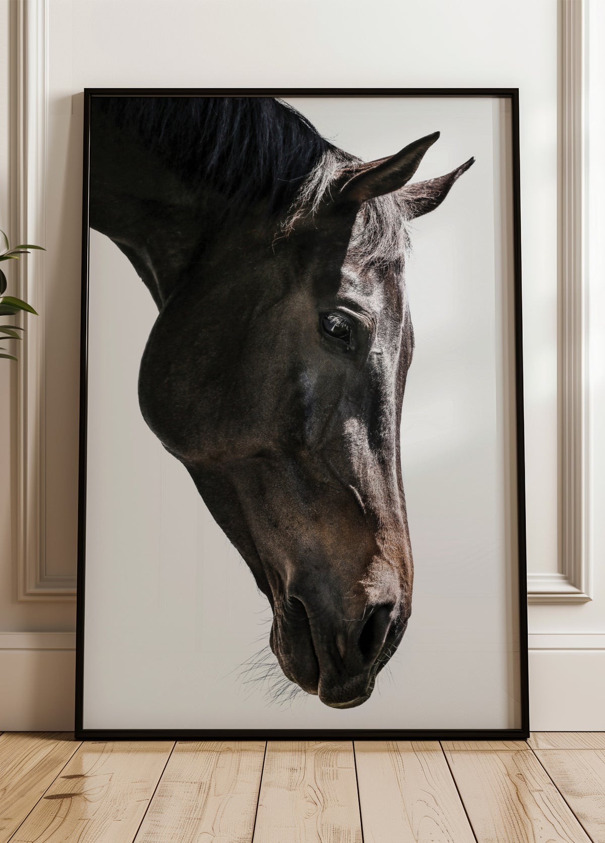 Sanfte Pferdegaze