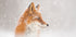 Snow is falling… Plakat - Posterbox