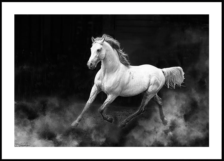 Fergana horse (NEW) - Posterbox