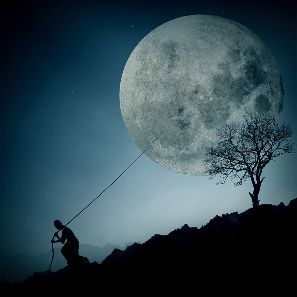 the Dreamer Plakat - Posterbox