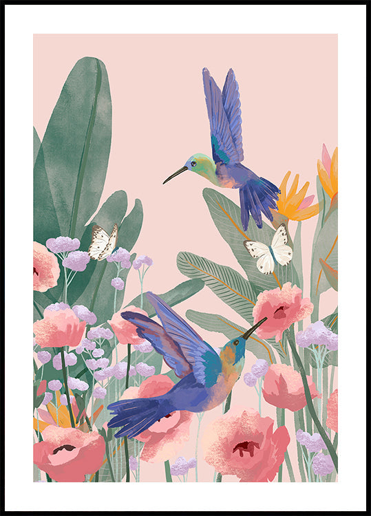 Hummingbirds (NEW) - Posterbox