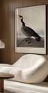 Hutchins's Barnacle Goose From Birds of America (1827) (NEW) - Posterbox
