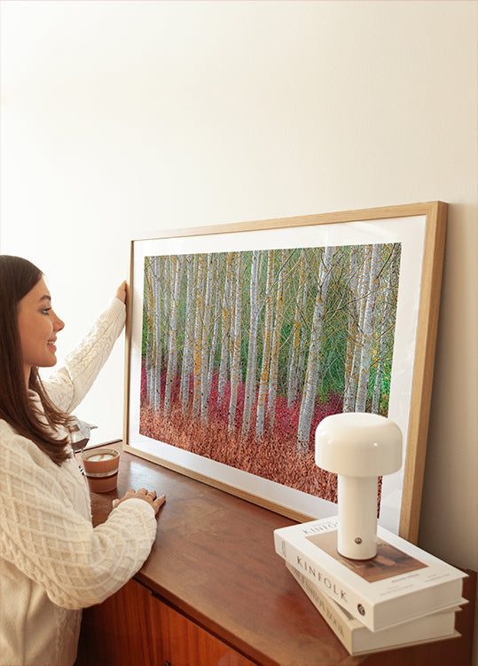 Birch forest (NEW) - Posterbox
