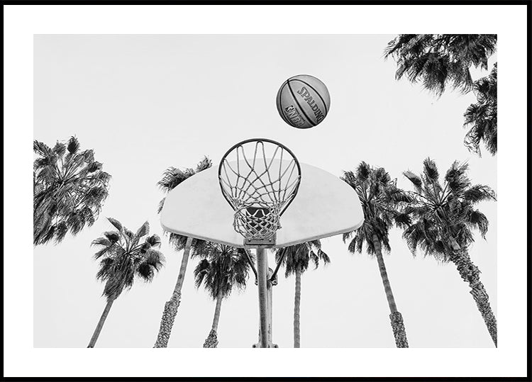 Basketball Plakat - Posterbox