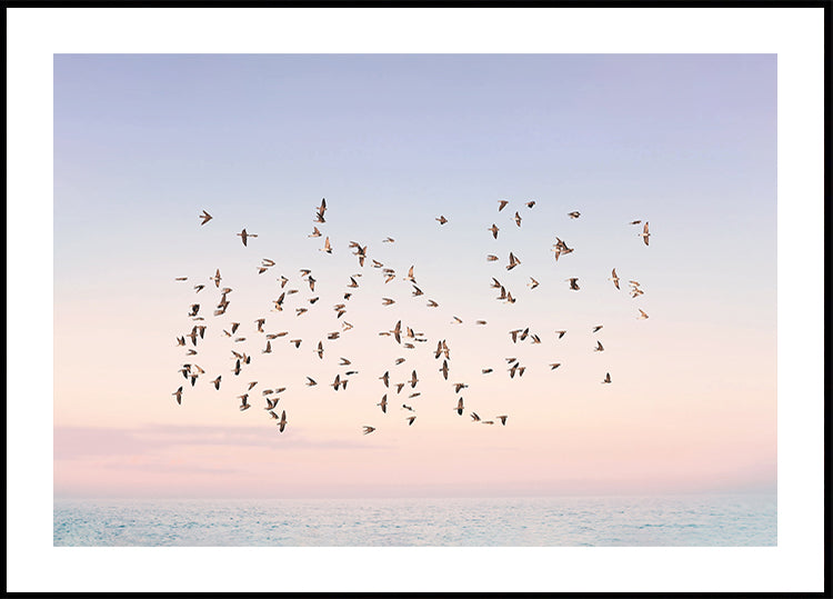 Sunset Flight Plakat - Posterbox