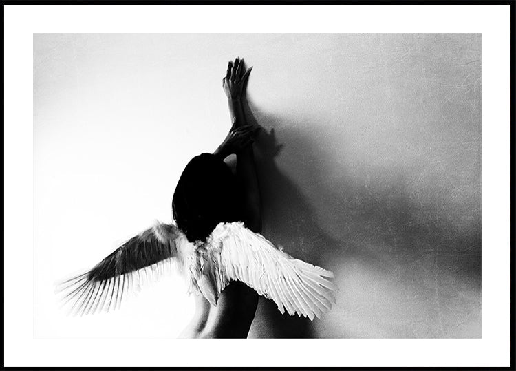 not fly - Posterbox